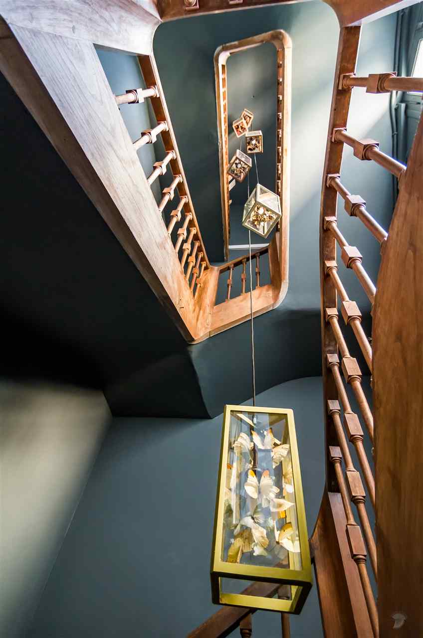 resized-2349823-The Orangerie,Duras (2).jpg